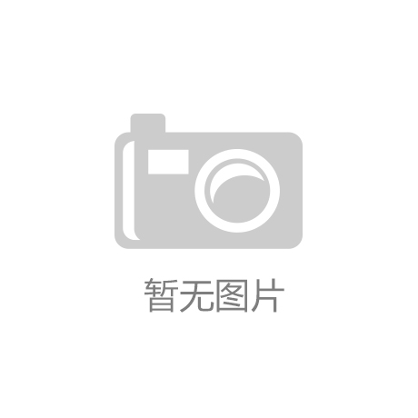 机领域最优质的6家公司凯发k8国际算力一体