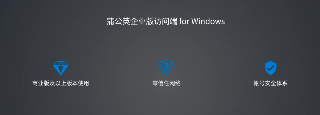 服务器？安全远程访问解决方案详解！凯发K8首页登录电脑怎么远程连接(图4)